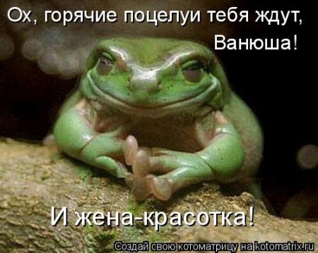 котомашечки от Лисицы))