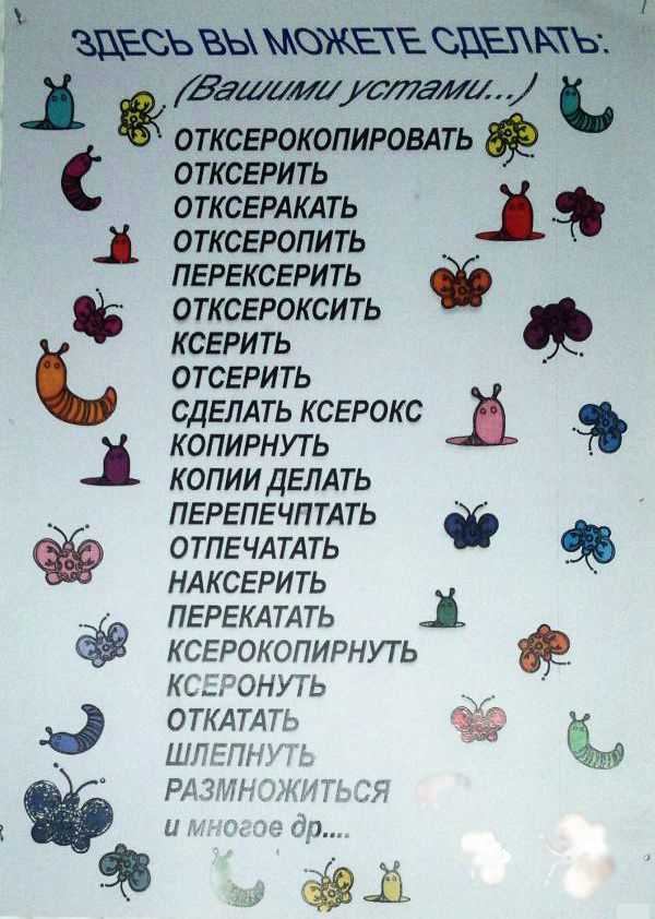 Самые оригинальные народные объявления уходящего года объявления, юмор