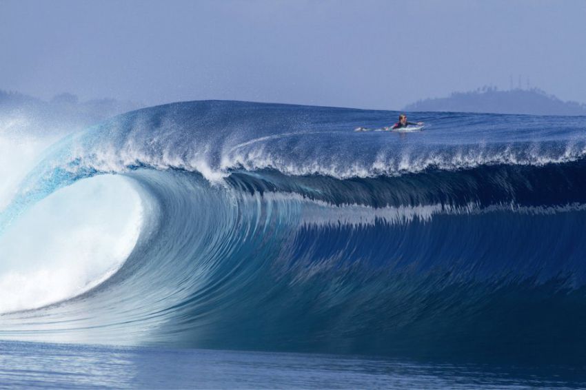 природа, позитив, фото