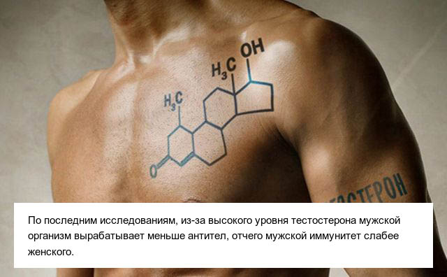 Познавательные факты о мужском теле (10 фото) Познавательные факты о мужском теле (10 фото)