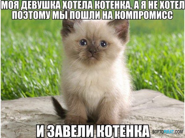    !!!