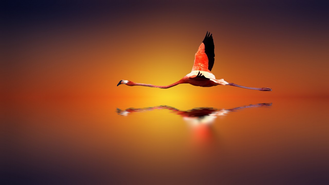 Фотографии заката испанского фотографа Josep Sumalla