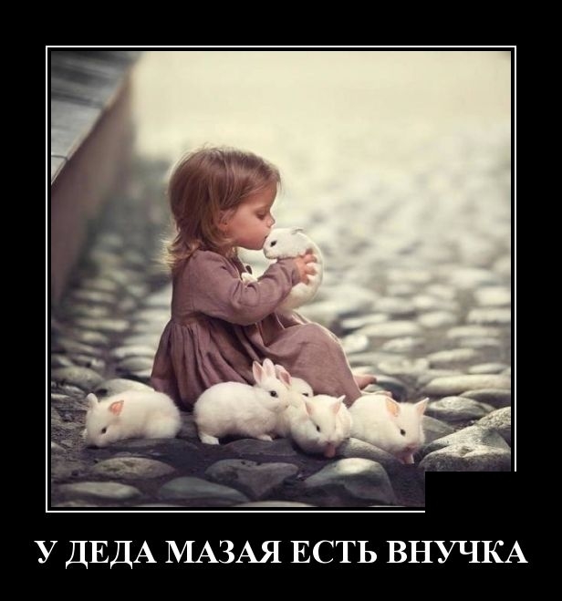 Демотиваторы Демотиваторы