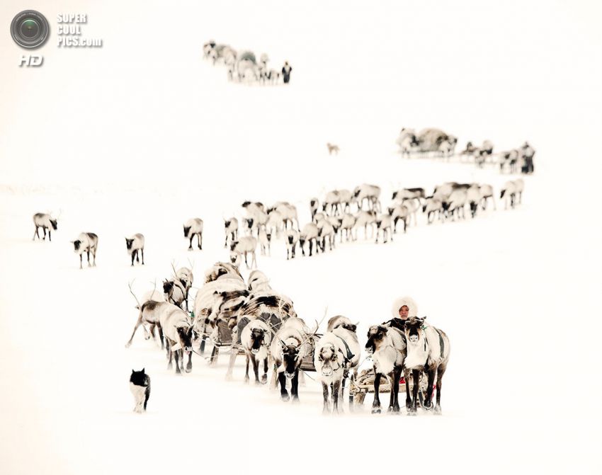 холод, племя, люди