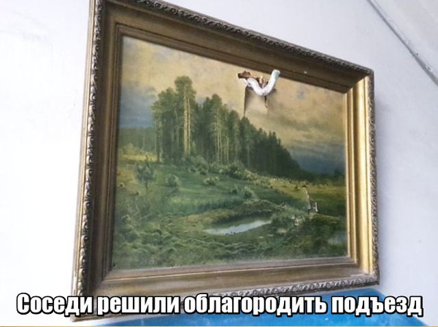 Подборка картинок Подборка картинок