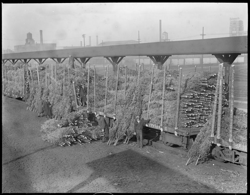 История, старые фотографии