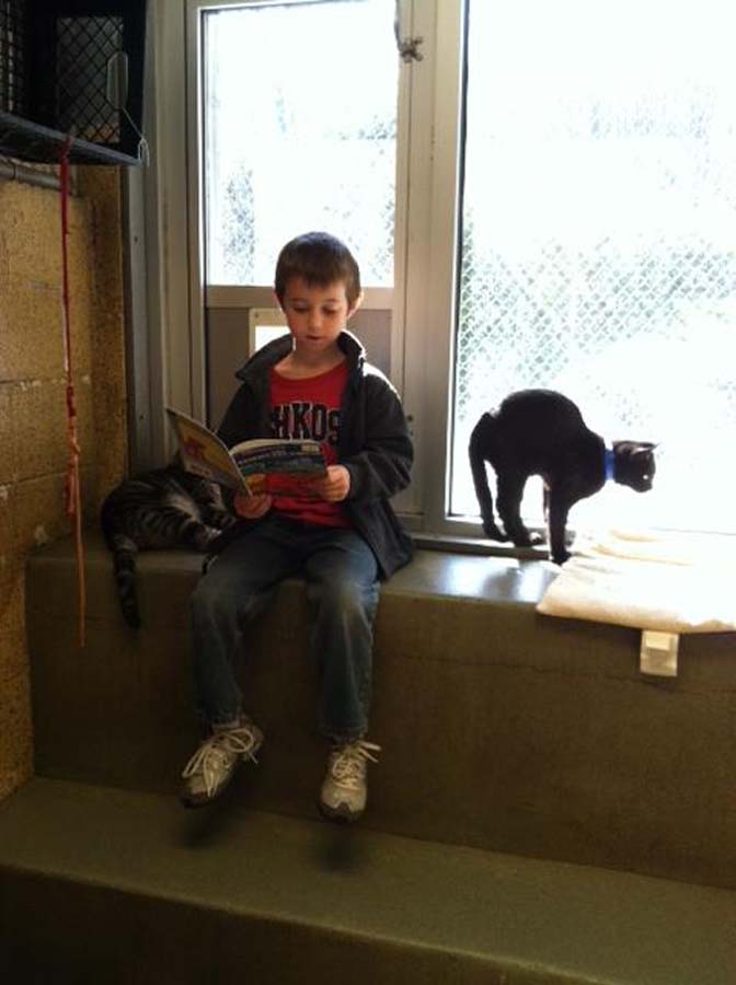 bookbuddies131 Дети учатся читать, а коты им помогают