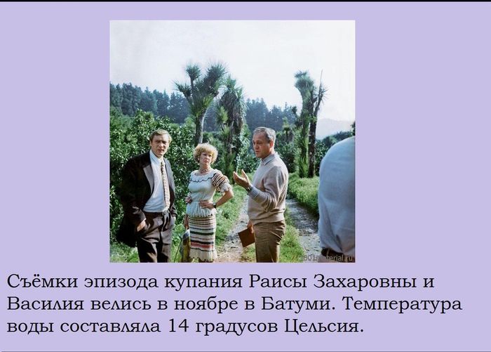 Факты о кинофильме "Любовь и голуби" (15 фото) Факты о кинофильме "Любовь и голуби" (15 фото)