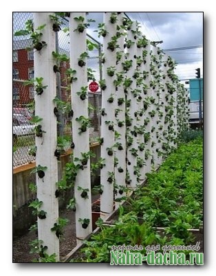 вертикальные грядки