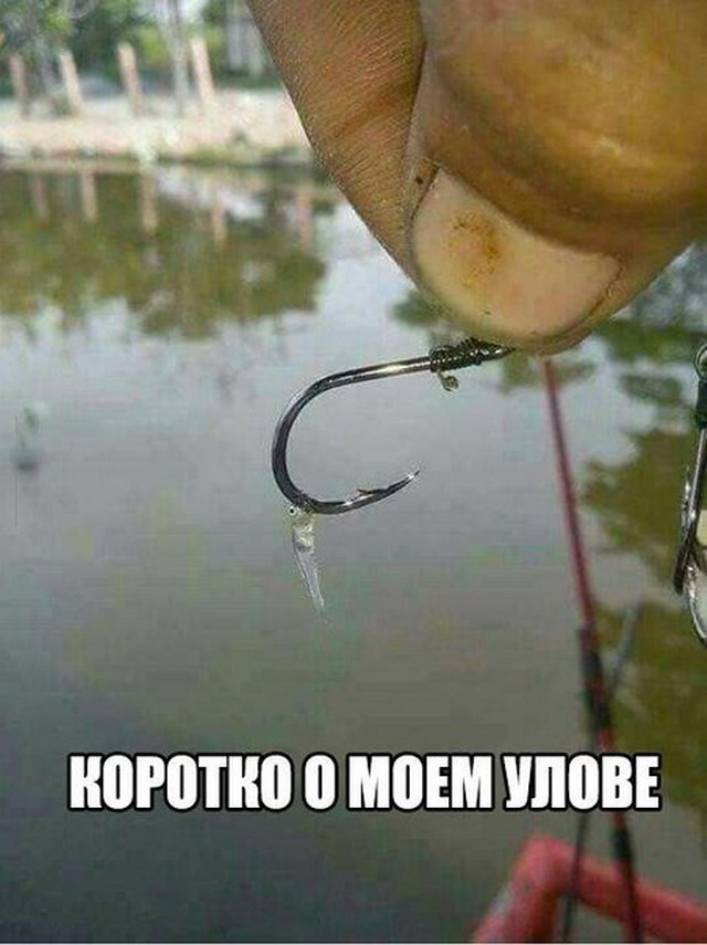 У одинокого оптимиста кровать наполовину полная) У одинокого оптимиста кровать наполовину полная)