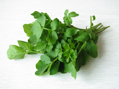 11-calcium-rich-fat-burning-foods-11-watercress-sl