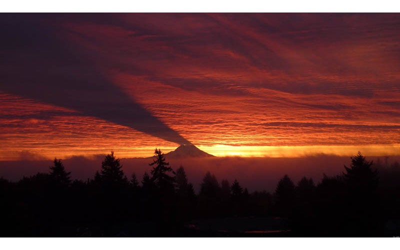 best01 Лучшие фотографии месяца по версии журнала Twistedsifter