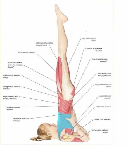 САРВАНГАСАНА йога