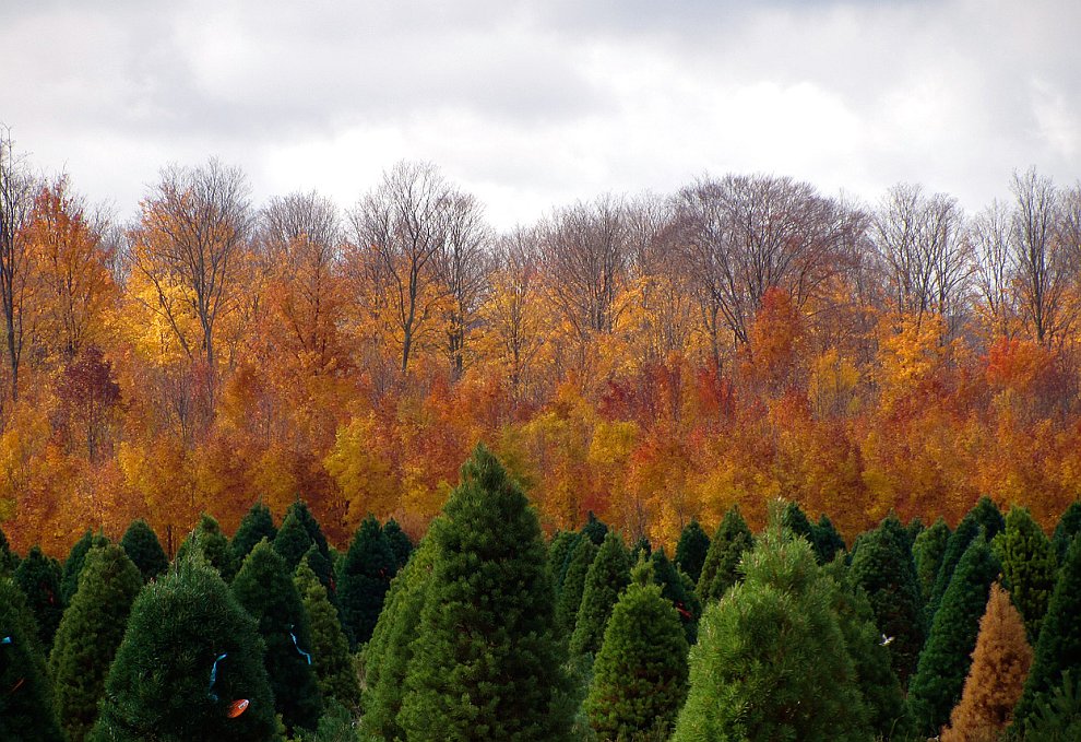 Осень в Северном Мичигана, США