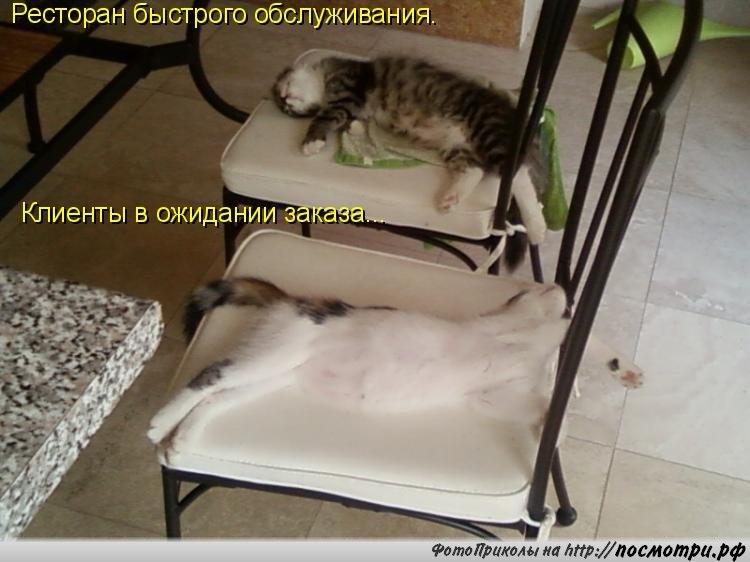Послe слов - ну ты же леди... Анекдоты 8 января 2019 года. Послe слов - ну ты же леди... Анекдоты 8 января 2019 года.