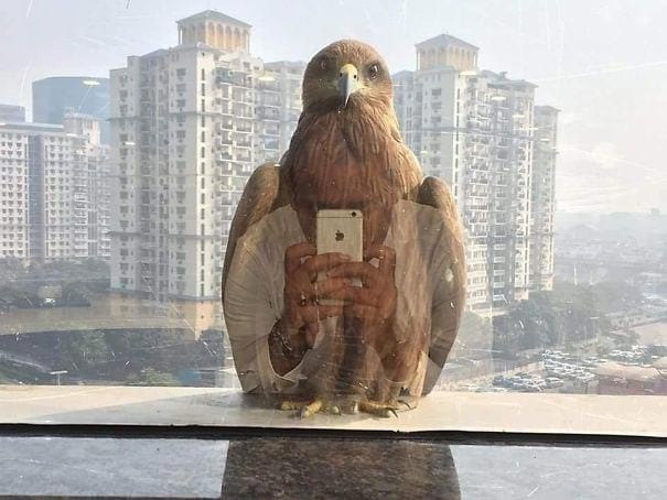 25 потрясающих фотографий, на которые вы непременно захотите взглянуть дважды... 25 потрясающих фотографий, на которые вы непременно захотите взглянуть дважды...
