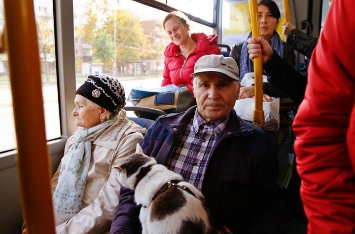 Кот, за которого предлагали 450 тысяч рублей Кот, за которого предлагали 450 тысяч рублей