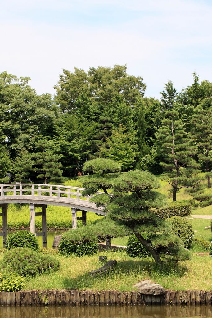 �������� ��� ��� ������ ������������ ������ �������