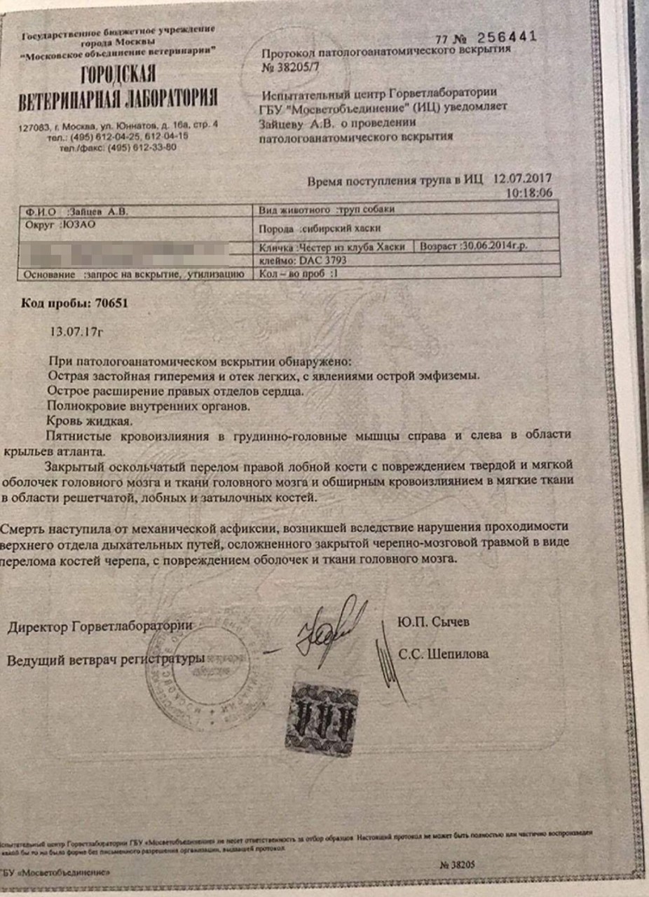 Заключение ветлаборатории