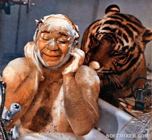 Полосатый рейс, фильм