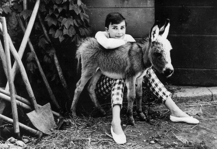Фотографии звёзд-красавиц с их любимыми питомцами Фотографии звёзд-красавиц с их любимыми питомцами