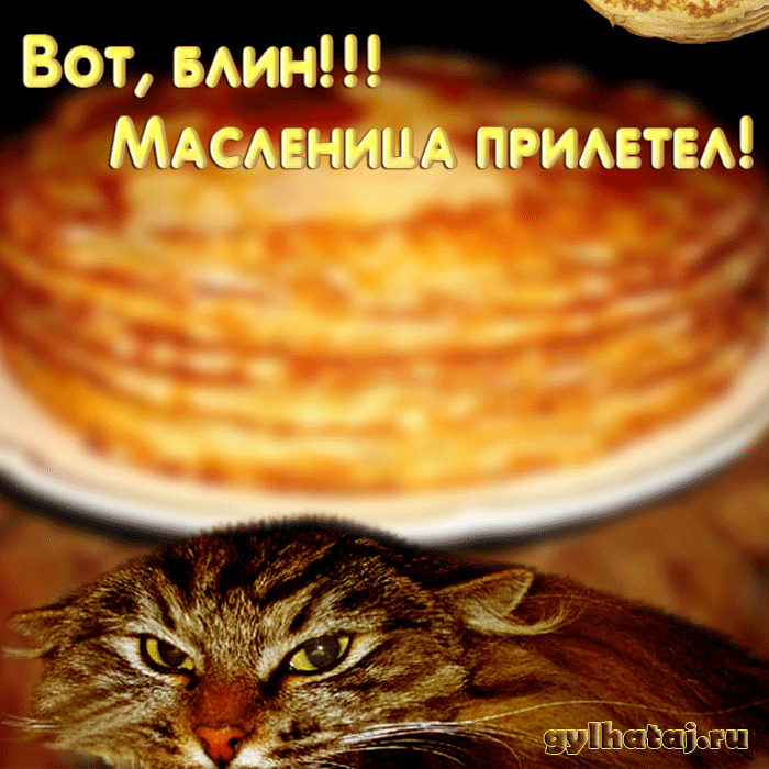 Про масленицу,про блины...(прикольные картинки,открытки) Про масленицу,про блины...(прикольные картинки,открытки)