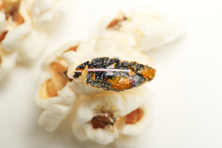 Hasan Kale popcorn