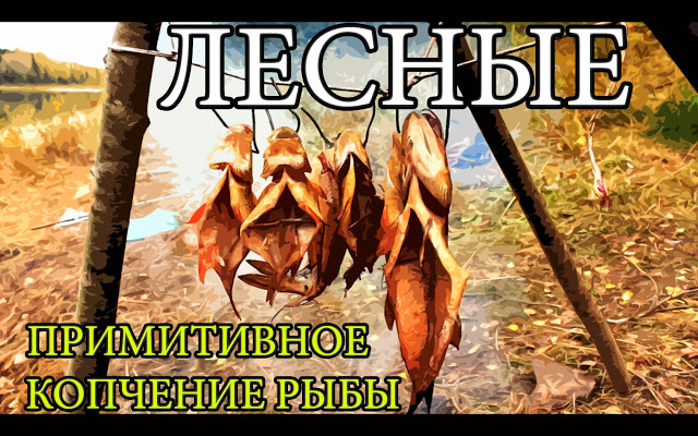 Дикая кухня - Копчение рыбы в типи