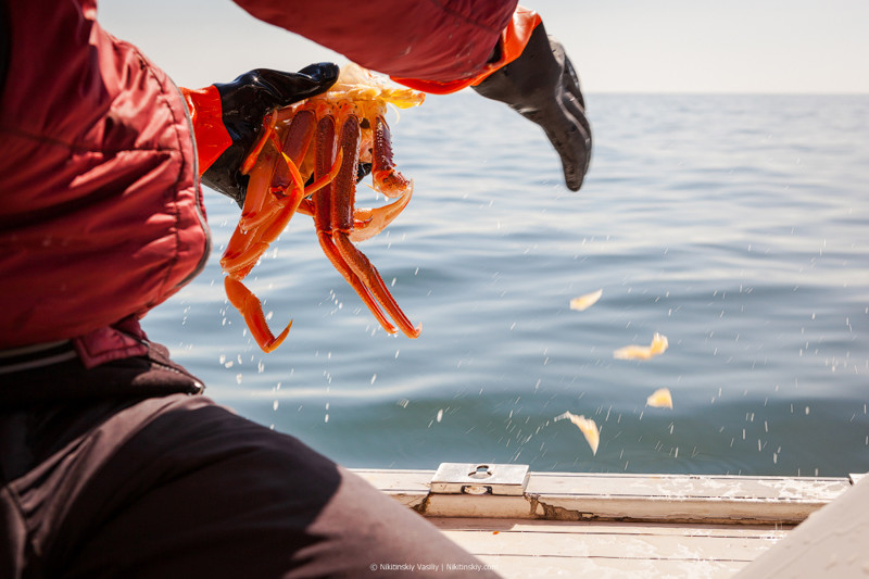 Настоящая камчатская рыбалка путешествия, рыбалка, факты, фото