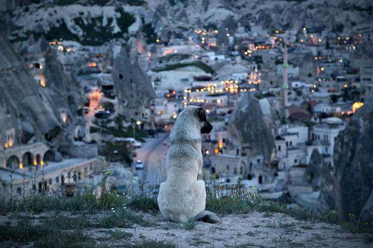 Фотографии Ника Даума, вызывающие восторг и трепет