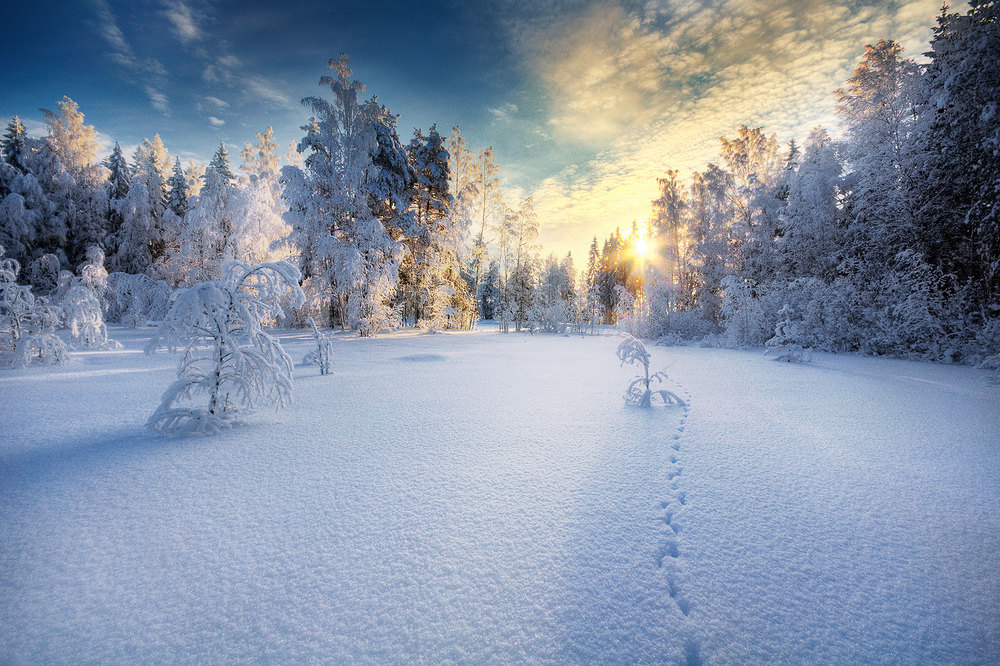 Прекрасная зима в фотографиях Mikko Lagerstedt