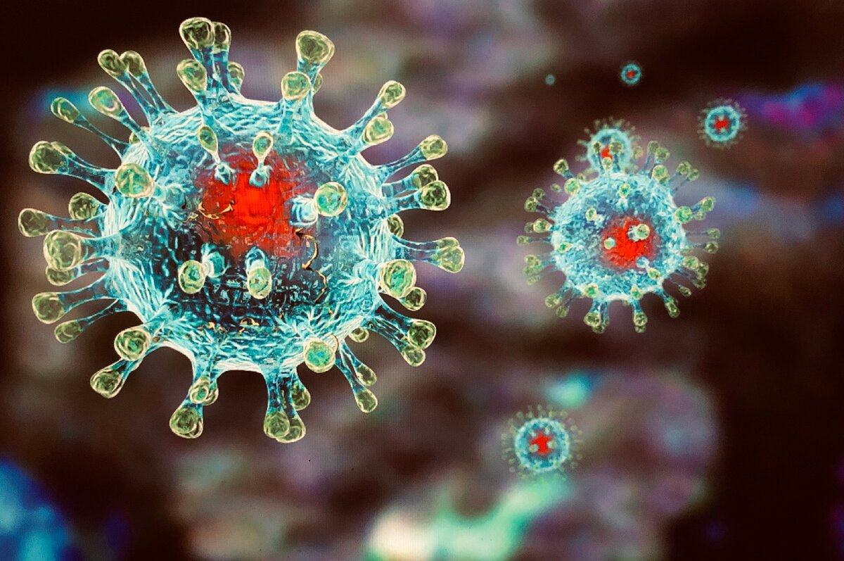 Что происходит с организмом, когда его атакует коронавирус