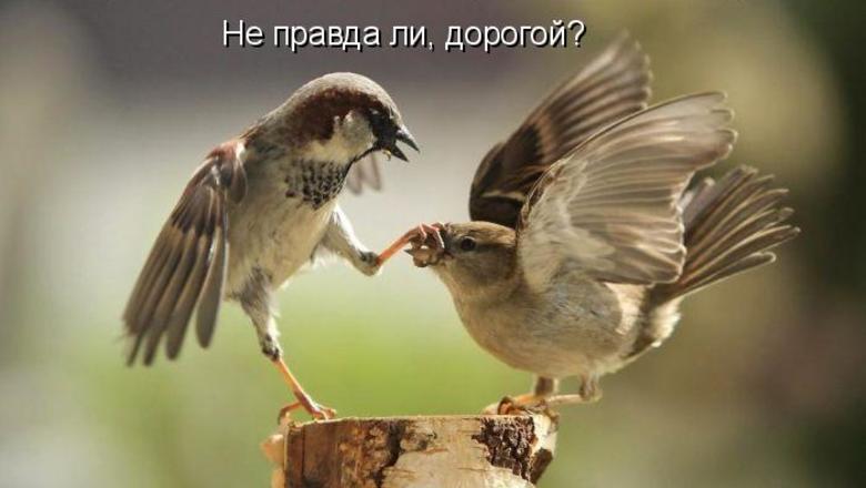 Михаил Хазин: "С либеральным монополизмом пора заканчивать"
