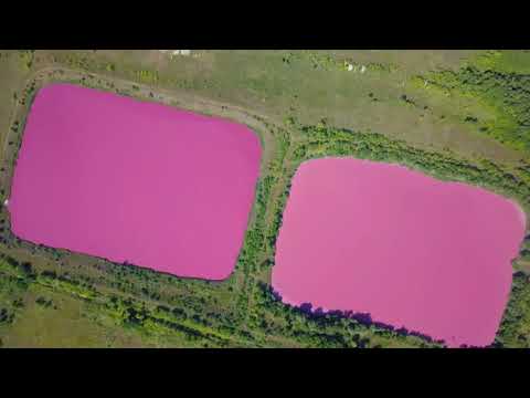 В Самарской области три озера окрасились в розовый цвет