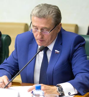 Член Комитета по федеративному устройству, региональной политике, местному самоуправлению и делам Севера, представитель Воронежской областной Думы в Совете Федерации Сергей Лукин. Фото пресс-службы сенатора.