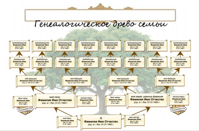 виды генеалогического дерева