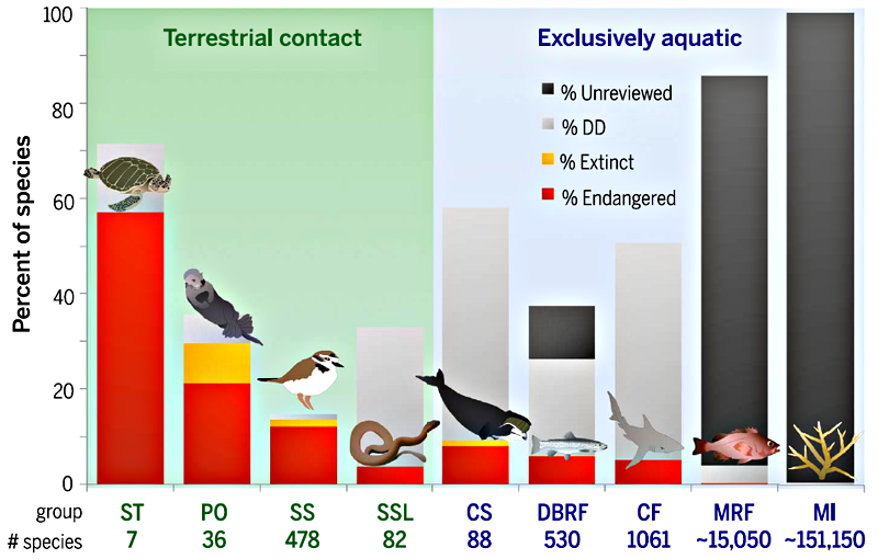 Рисунок 3. Угроза морской дефаунизации. Выделяются следующие категории животных: «вымершие» — желтый цвет, «под угрозой исчезновения» — красный цвет, «недостаточно данных» — светло-серый цвет, «не изучены» — тёмно-серый цвет. ST — морские черепахи, PO — ластоногие и морские куньи, SS — морские птицы и кулики, SSL — морские змеи и ящерицы, CS — китообразные, DBRF — проходные лучепёрые рыбы, CF — хрящевые рыбы, MRF — лучепёрые морские рыбы, MI — морские беспозвоночные. Контактирующие с сушей представлены на светло-зеленом фоне. Рисунок из [2].