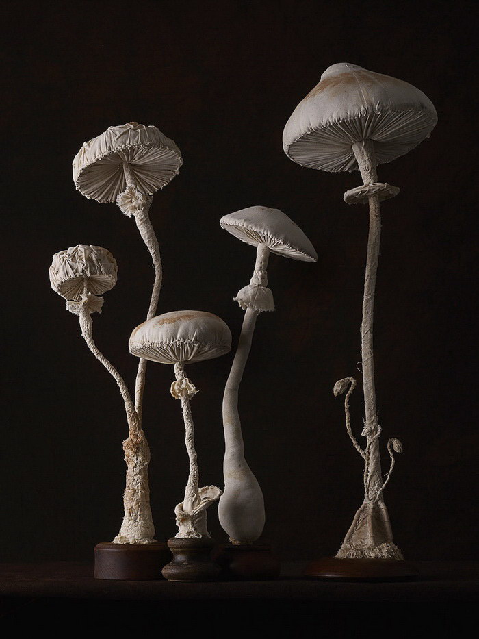 Магические тканевые скульптуры грибов Mister Finch