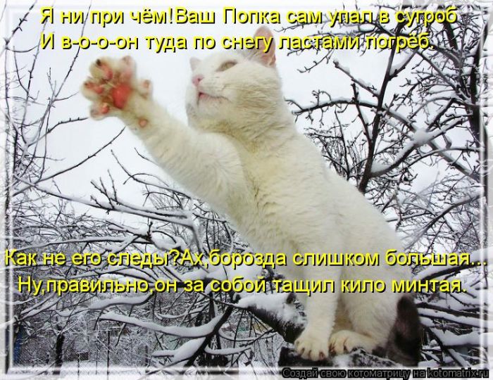 ����������� (49 ����)