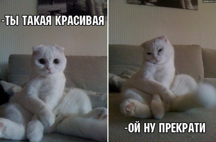 Забавные и позитивные картинки с надписями со смыслом (11 фото) Забавные и позитивные картинки с надписями со смыслом (11 фото)
