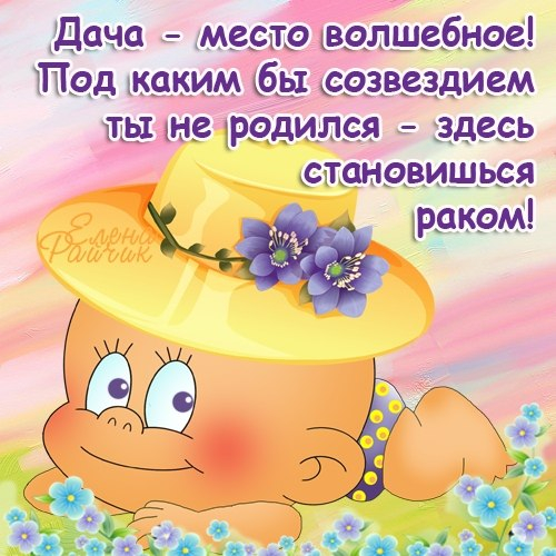 Прикольные поздравления с днем рождения дачнице женщине 48