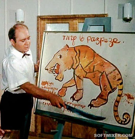 Полосатый рейс, фильм