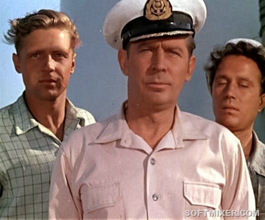 Полосатый рейс, фильм