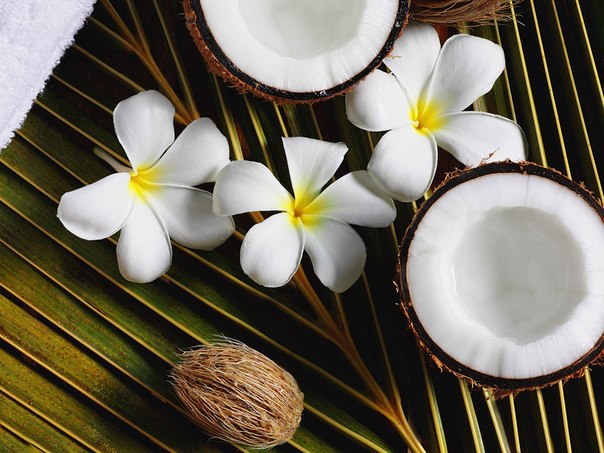 coconut_oil1