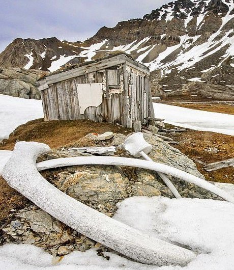 Хижина китобоя, Свальбард, Норвегия. Автор: Крис Доббс Historic Photographer of The Year, архитектура, достопримечательность, история, конкурс, фотография, фотомир