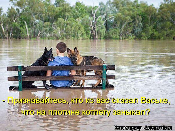 Котоматрица: - Признавайтесь, кто из вас сказал Ваське, что на плотине котлету заныкал?