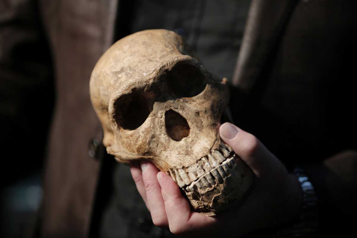 Homo naledi придерживались уникальной диеты Homo naledi придерживались уникальной диеты