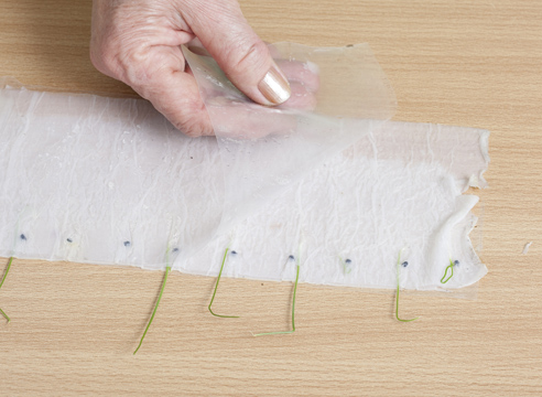 ��� �� ������ �������  ������� ������ � ������