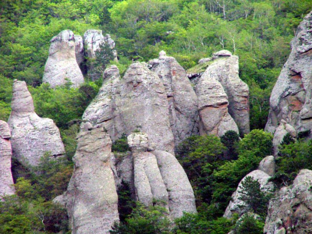 Природа России 5 Природа России 5