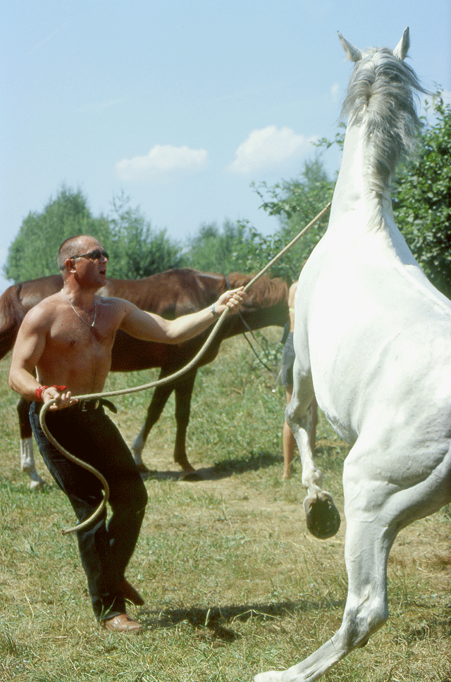 Андрей Ростоцкий.